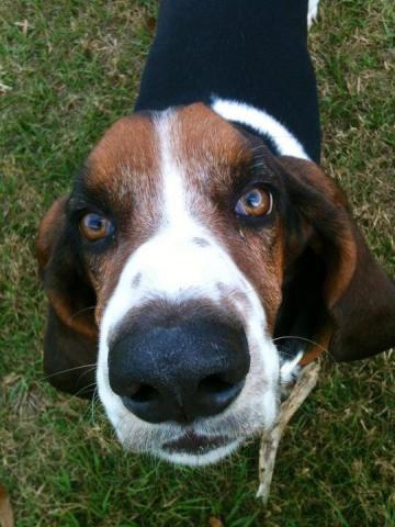 post-9187-0-88297300-1424035567_thumb.jp