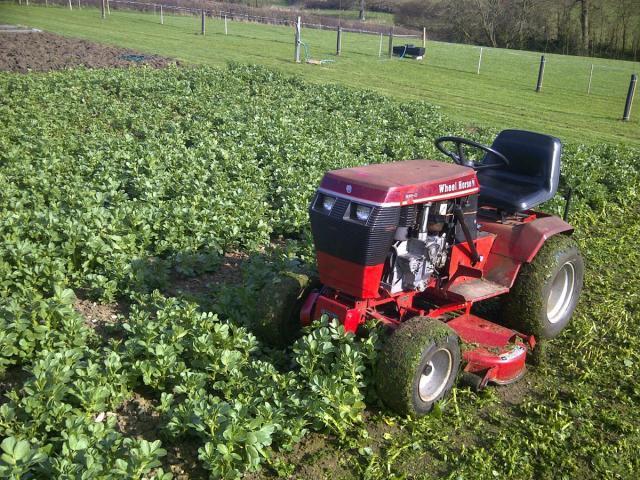 post-2131-0-93403600-1332278644_thumb.jp