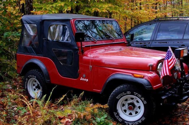 post-2212-0-50102100-1330607885_thumb.jp