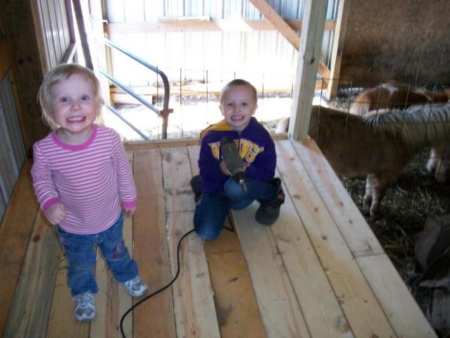 post-2337-0-04807700-1331706683_thumb.jp