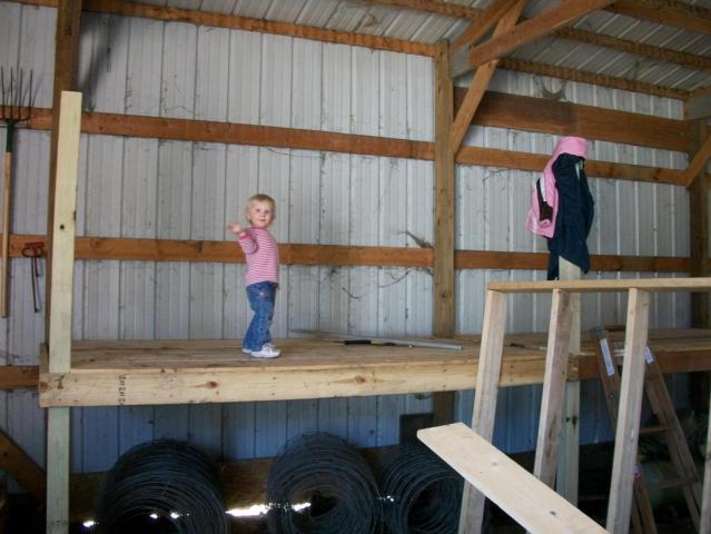 post-2337-0-40842400-1331706566_thumb.jp