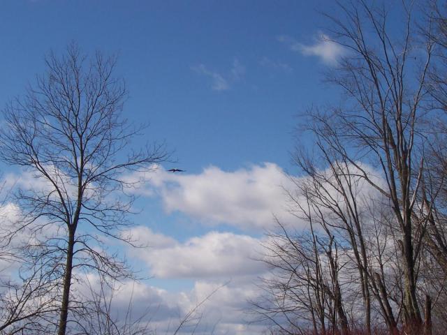 post-2807-0-23888100-1331341963_thumb.jp