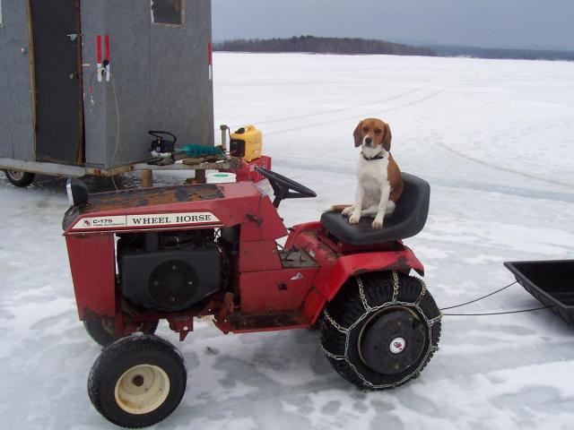 post-2807-0-97403100-1331341521_thumb.jp