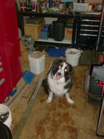 post-4894-0-18167900-1331259992_thumb.jp