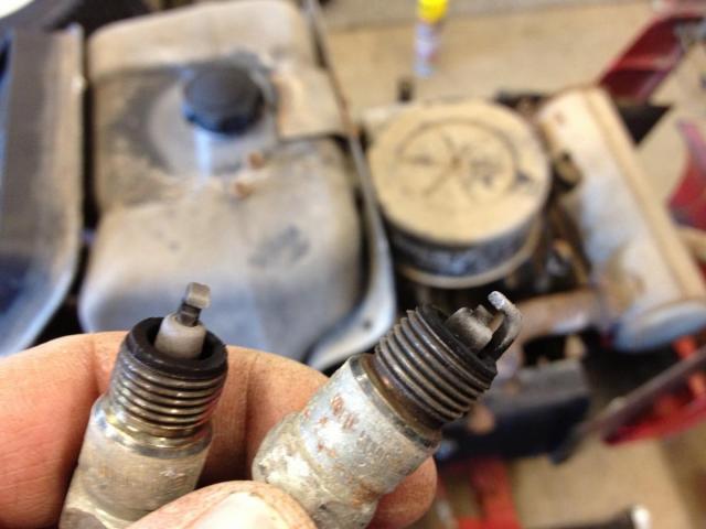 post-4321-0-29717200-1363550026_thumb.jp