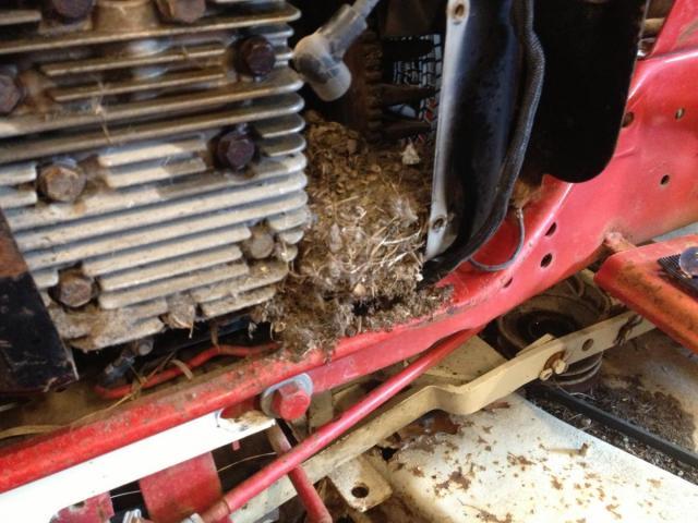 post-4321-0-51094400-1363550045_thumb.jp