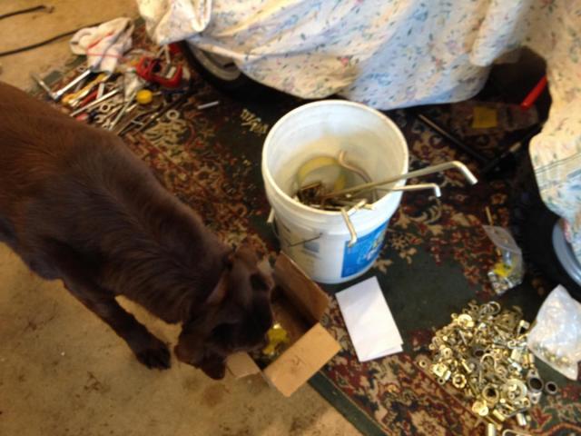 post-4321-0-39531600-1394148688_thumb.jp