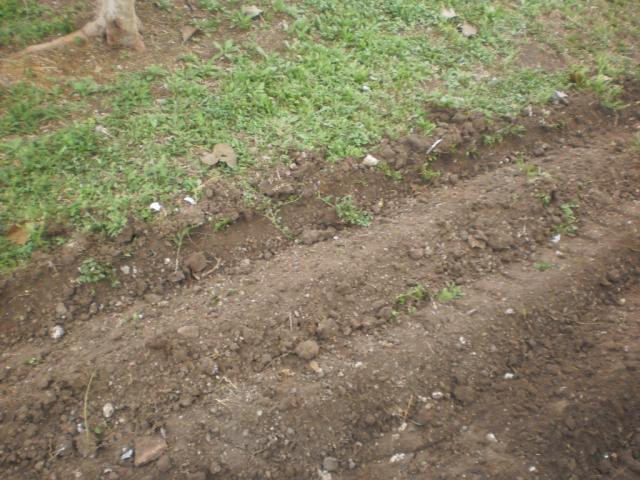 post-6076-0-04530300-1395789087_thumb.jp