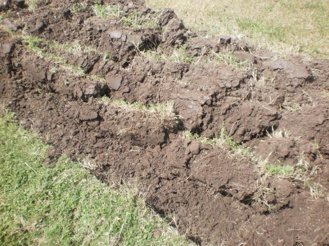 post-6076-0-15217400-1396141513_thumb.jp