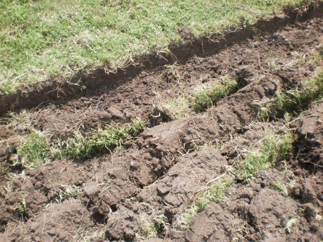 post-6076-0-23617800-1396141504_thumb.jp