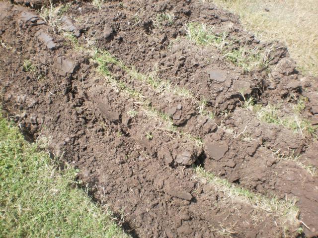 post-6076-0-53087000-1396141521_thumb.jp