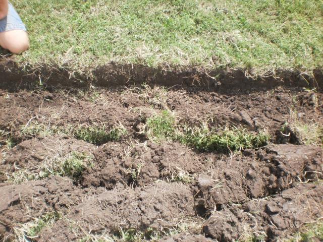 post-6076-0-83193100-1396141497_thumb.jp