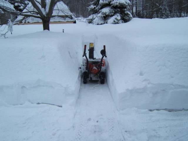 post-6368-0-80792000-1395505182_thumb.jp