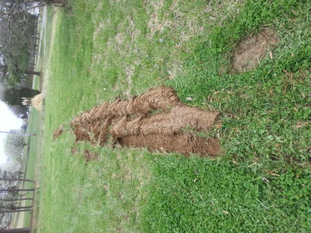 post-12071-0-56905100-1427058700_thumb.j