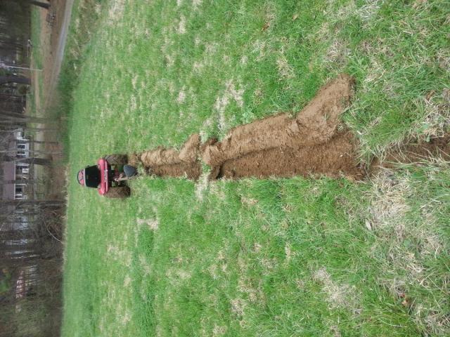 post-12071-0-64876700-1427058777_thumb.j