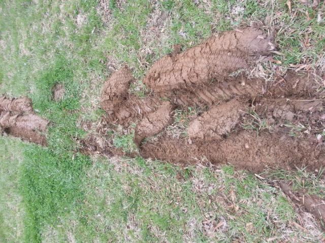 post-12071-0-88688900-1427058848_thumb.j