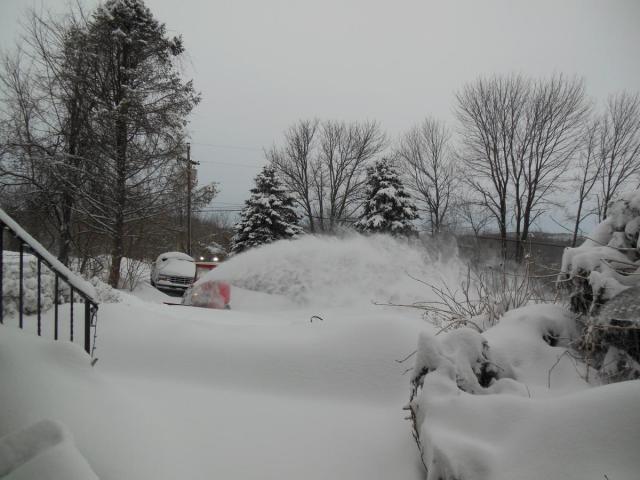 post-12306-0-37739900-1426042826_thumb.j