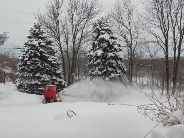 post-12306-0-93086700-1426042890_thumb.j