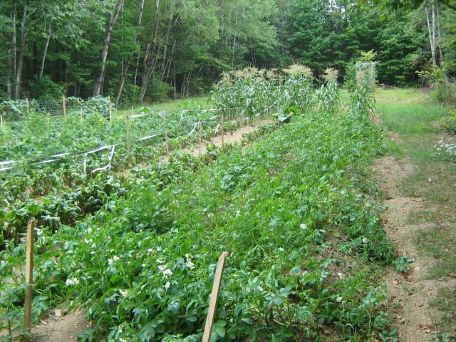 post-13227-0-12326000-1426615572_thumb.j