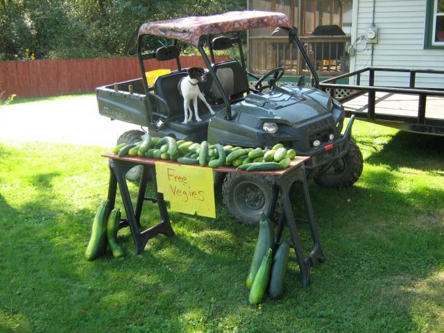 post-13227-0-19665000-1426615807_thumb.j