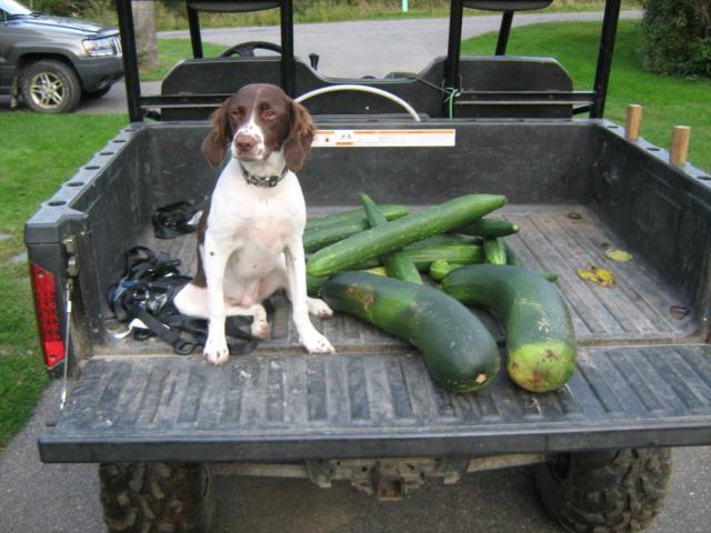 post-13227-0-28356000-1426615843_thumb.j