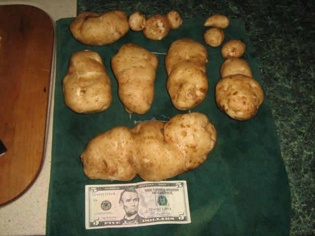 post-13227-0-61890500-1426615516_thumb.j