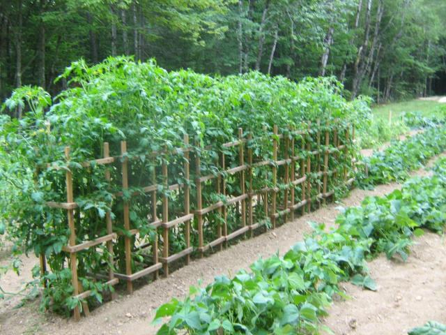 post-13227-0-66052900-1426615604_thumb.j