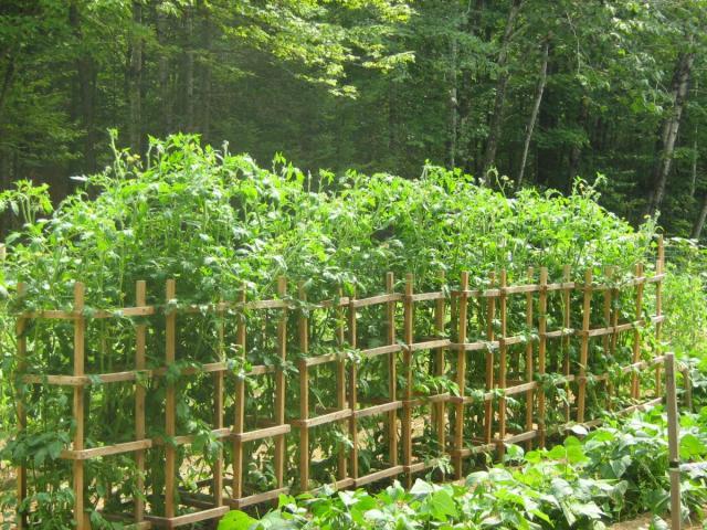 post-13227-0-87751600-1426615745_thumb.j