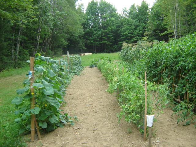 post-13227-0-90845800-1426615635_thumb.j