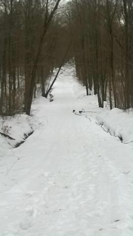 post-14567-0-69037000-1426284698_thumb.j