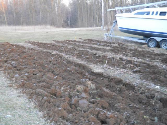 post-1982-0-28703000-1427206495_thumb.jp