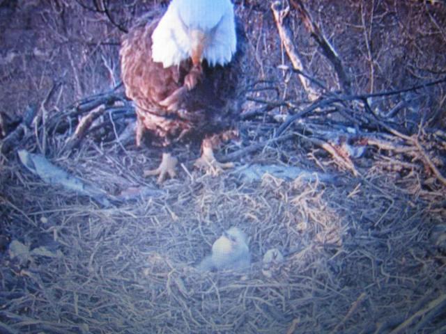 post-3498-0-20070700-1427238203_thumb.jp