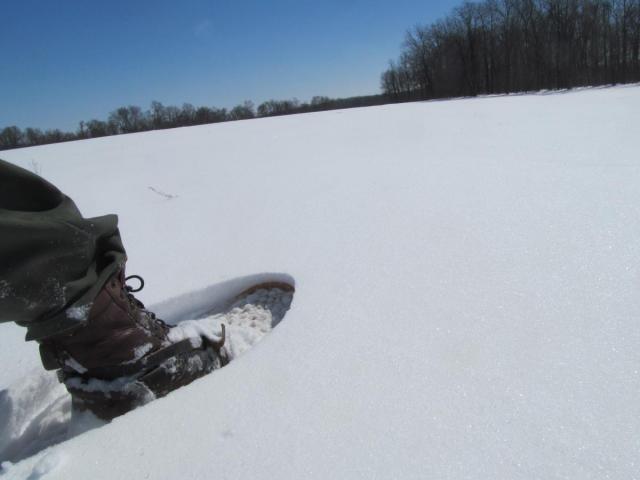 post-7208-0-03378500-1425669825_thumb.jp