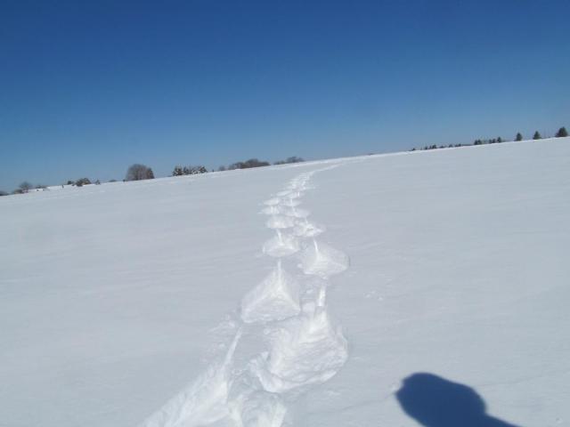 post-7208-0-54414300-1425669743_thumb.jp