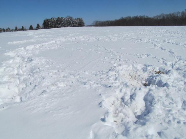 post-7208-0-65478000-1425669620_thumb.jp