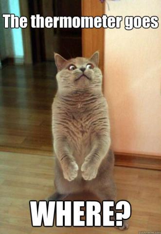 post-8798-0-35667200-1427675689_thumb.jp