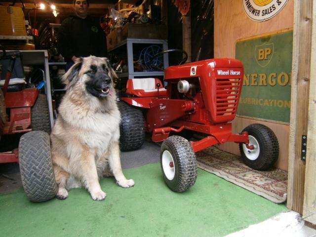 post-4987-0-04253200-1335104850_thumb.jp