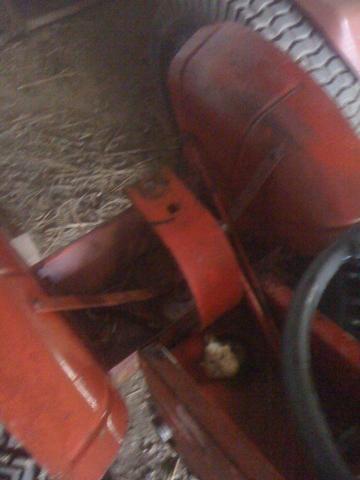 post-5271-0-45712800-1334443803_thumb.jp