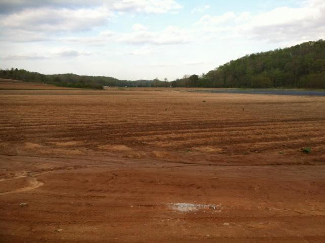 post-5847-0-91834500-1366340789_thumb.jp