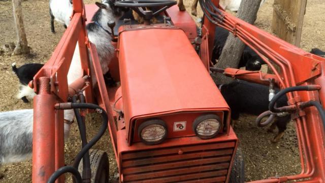 post-11966-0-80699900-1398782929_thumb.j