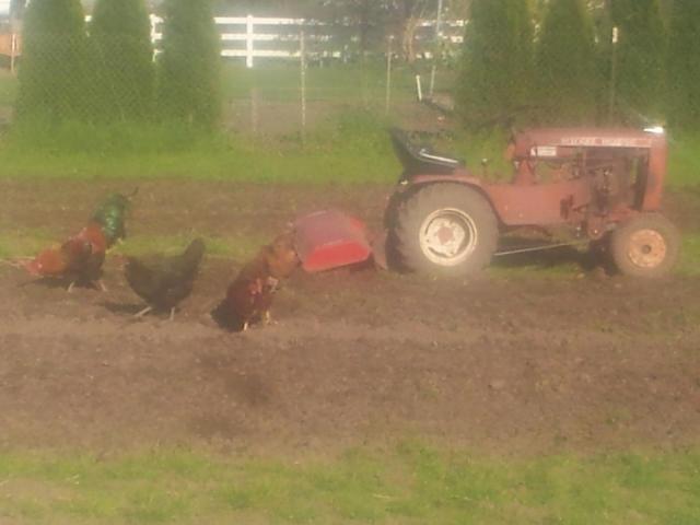 post-11319-0-51152300-1429272795_thumb.j