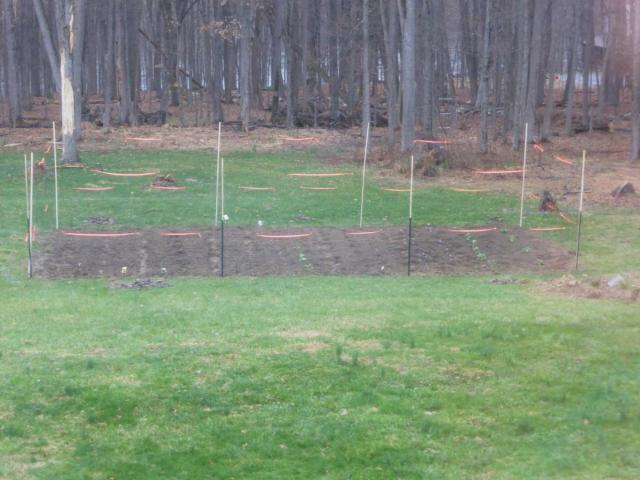 post-12383-0-81742400-1429757465_thumb.j