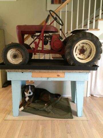 post-14606-0-55803100-1428441664_thumb.j