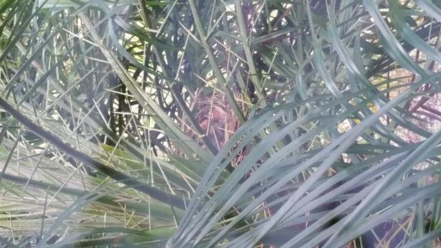 post-8408-0-36152100-1429374482_thumb.jp