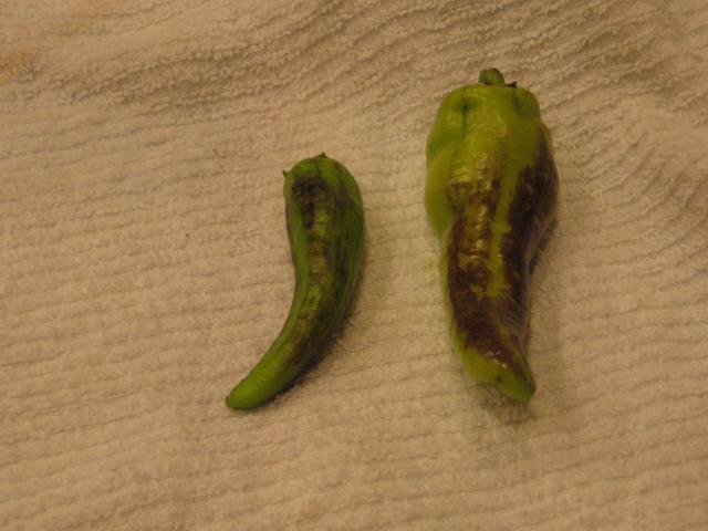 post-1262-0-93249800-1338343943_thumb.jp