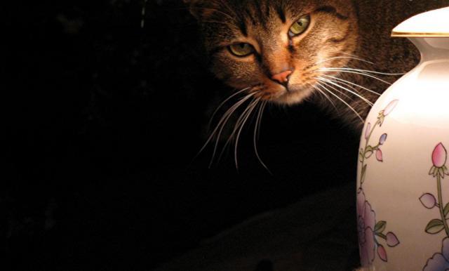 post-3498-0-46833900-1338119853_thumb.jp