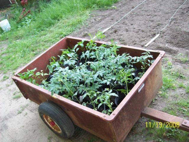 post-4240-0-10667300-1338333751_thumb.jp