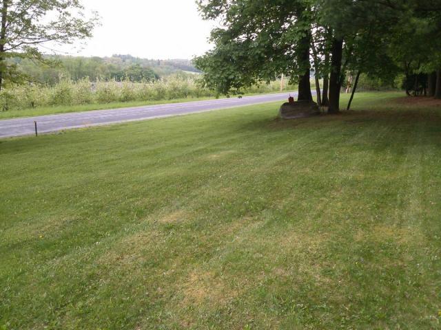 post-1933-0-55418800-1368226523_thumb.jp