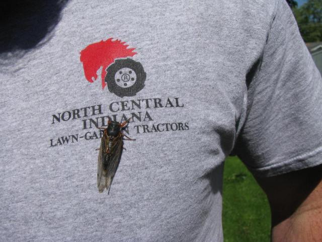 post-3498-0-28599900-1369665789_thumb.jp