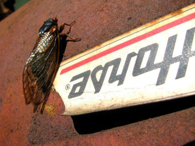 post-3498-0-62282900-1369665829_thumb.jp